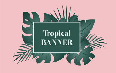 Summer tropical banner with rectangle frame vector