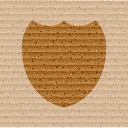 shield protection flat modern web button and space vector image