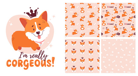 corgi collection - seamless patterns and isolated vector image