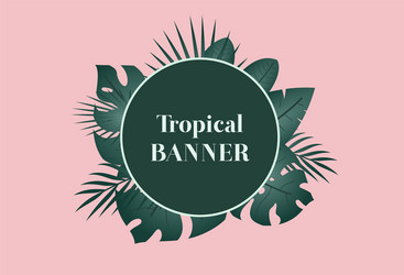 summer tropical banner with green palm leaves vector