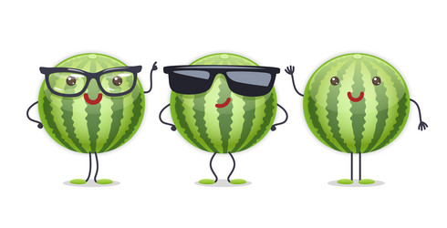 watermelon character with various face expressions vector