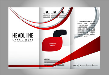 empty tri-fold brochure print template vector image