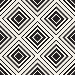 seamless pattern with lines lattice vector image