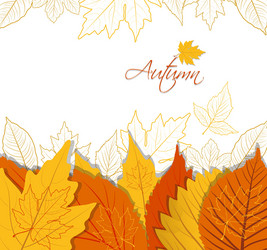 Abstract autumn background with colorful leaves Vector Image