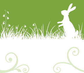 Easter bunny in the meadow Royalty Free Vector Image
