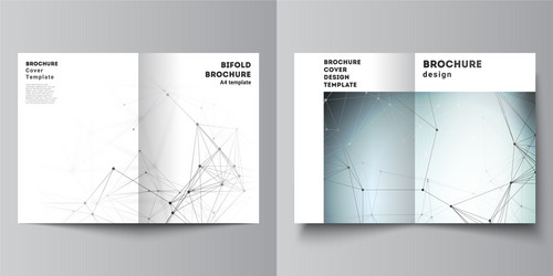 layout of two a4 format cover mockups vector image
