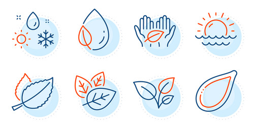 Organic tested weather and leaf dew icons set vector