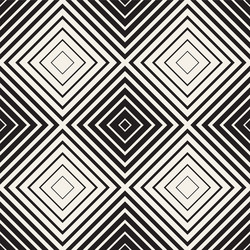 seamless pattern with lines lattice vector image
