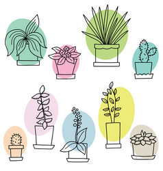 different flowers in pots vector