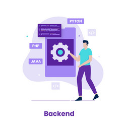 flat design backend of developer concept vector