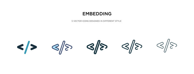 embedding icon in different style two colored vector image