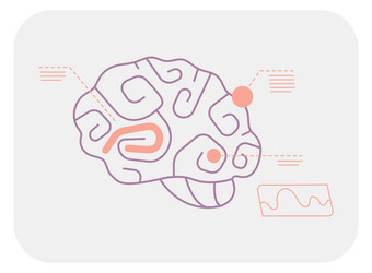 brain areas scan neurology function medical vector