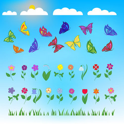 Daisy flowers and butterflies Royalty Free Vector Image