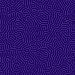 organic seamless pattern with rounded lines vector image