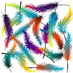 Colorful feathers background Royalty Free Vector Image