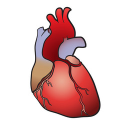 Vessels of the heart bypass surgery Royalty Free Vector