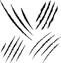 Claw Marks - Set of Scratches Vector Image