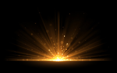 Abstract gold light sparks on black background Vector Image