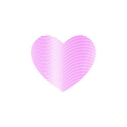 heart symbol with dynamic line style design vector image