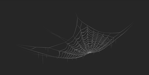 spider web hanging in empty space realistic vector image