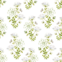 Delicate Watercolor Floral Vector Image