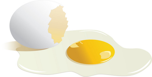 Broken egg vector