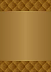 elegant background with ornate pattern and copy vector image
