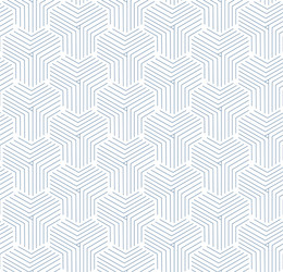 Seamless Linear Hexagonal Pattern vector image