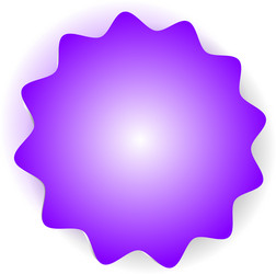 Starburst sunburst badge seal shape circular vector