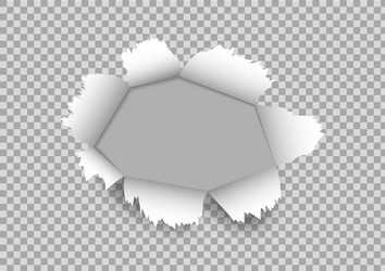 Torn paper hole with rip edge white vector