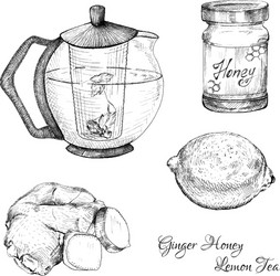 ginger honey lemon tea ink sketches set vector