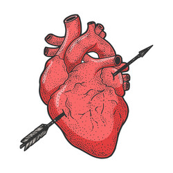 Heart pierced with arrow sketch engraving vector