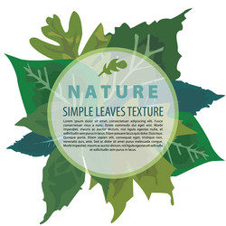 simple colorful leaf background with circle frame vector image