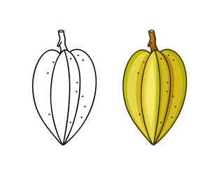 Carambola doodle icon linear and color version vector