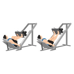 Man doing smith machine leg press exercise Vector Image