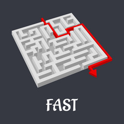 labyrinth puzzle with a fast short solution vector