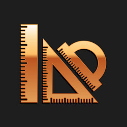 gold set ruler triangular and protractor vector image
