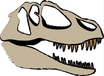 Fossil dinosaur head skeleton lizard animal bone vector