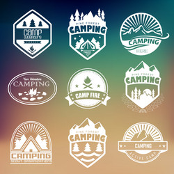 Retro Camping Badges & Labels Vector Image