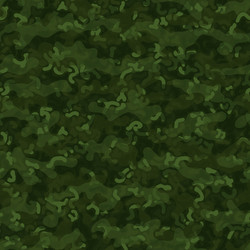 digital camouflage seamless pattern abstract army vector image
