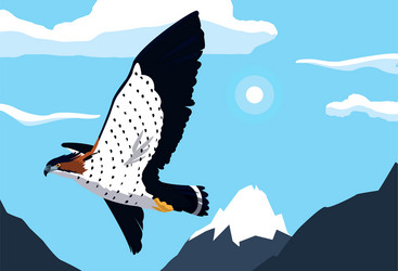 Angry Hawk Vector Images (over 810)