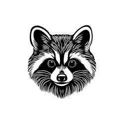 detailed monochrome of a raccoon head wildlife Vector Image