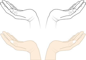Open Hands Gesture vector image
