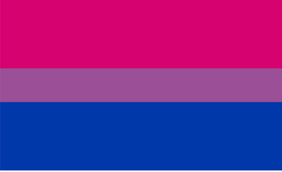 Bisexual pride flag symbol lgbt community vector