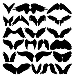Wing Silhouettes Vector Image