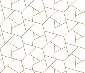 seamless pattern with abstract geometric line vector image
