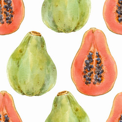 Watercolor passion fruit pattern Royalty Free Vector Image
