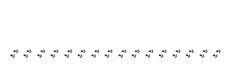 bunny pawprints border hare feet steps wet Vector Image