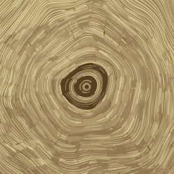 cross section of tree stump background texture vector image