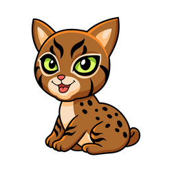 Cute pixie bob cat cartoon vector